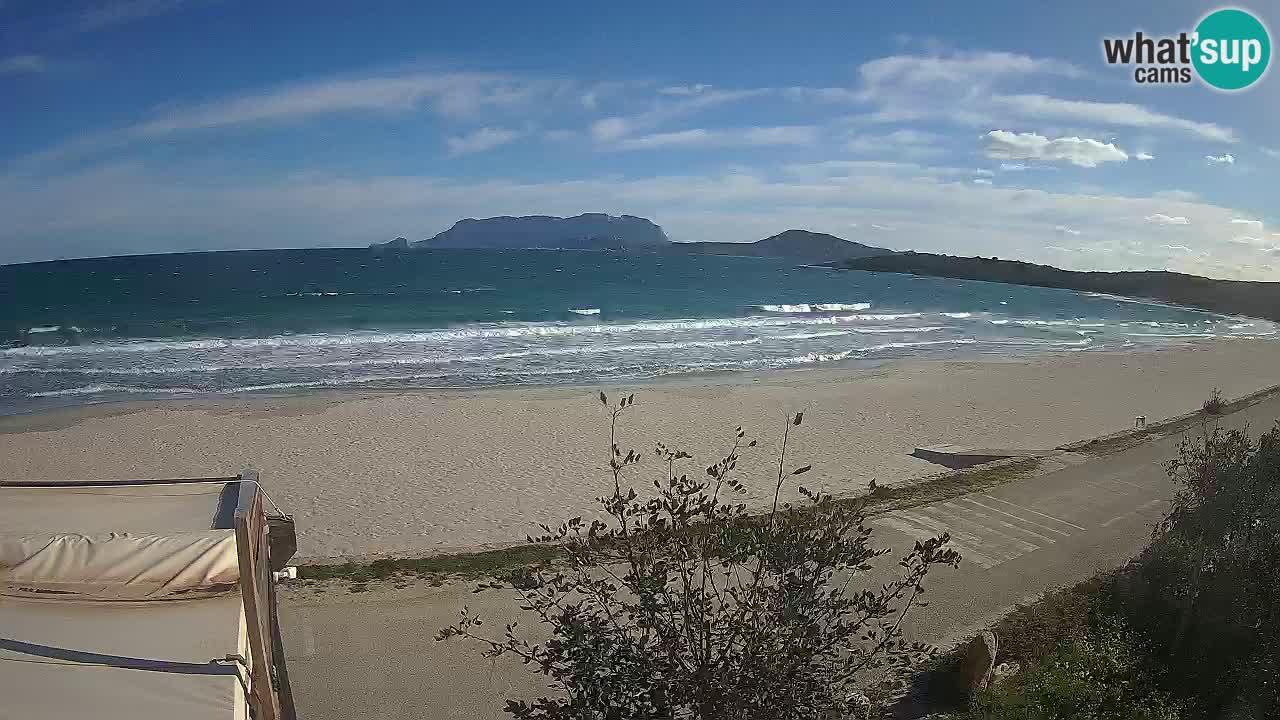 Plaža Pittulongu spletna kamera v živo Olbia – Sardinija – Italija