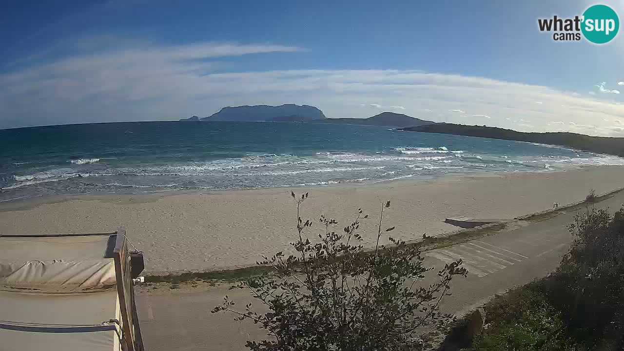 La webcam spiaggia Pittulongu vicino Olbia – Sardegna