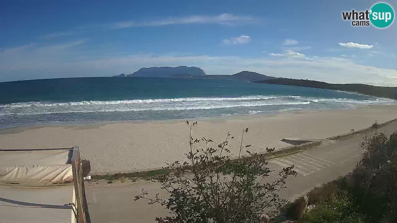 La webcam spiaggia Pittulongu vicino Olbia – Sardegna