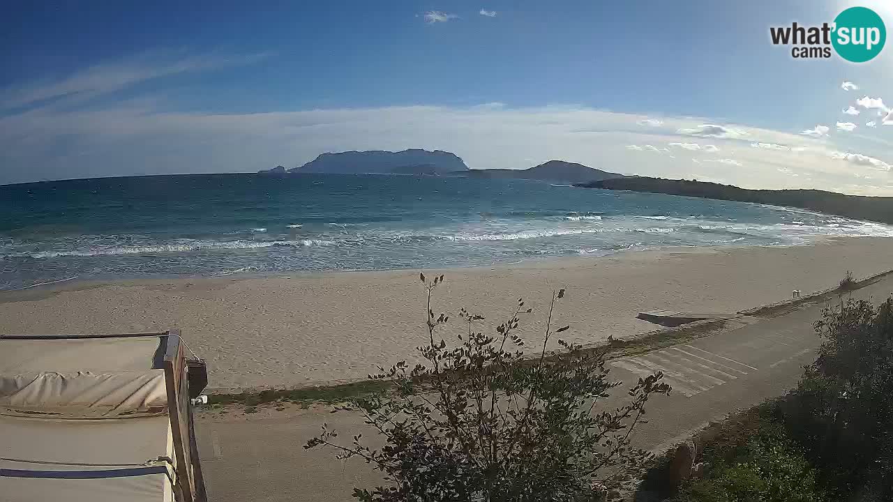 La webcam spiaggia Pittulongu vicino Olbia – Sardegna