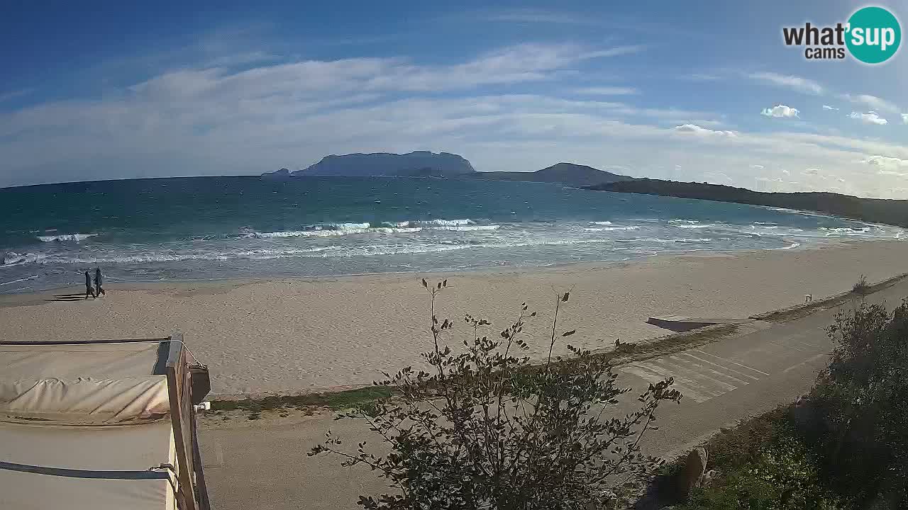 La webcam spiaggia Pittulongu vicino Olbia – Sardegna