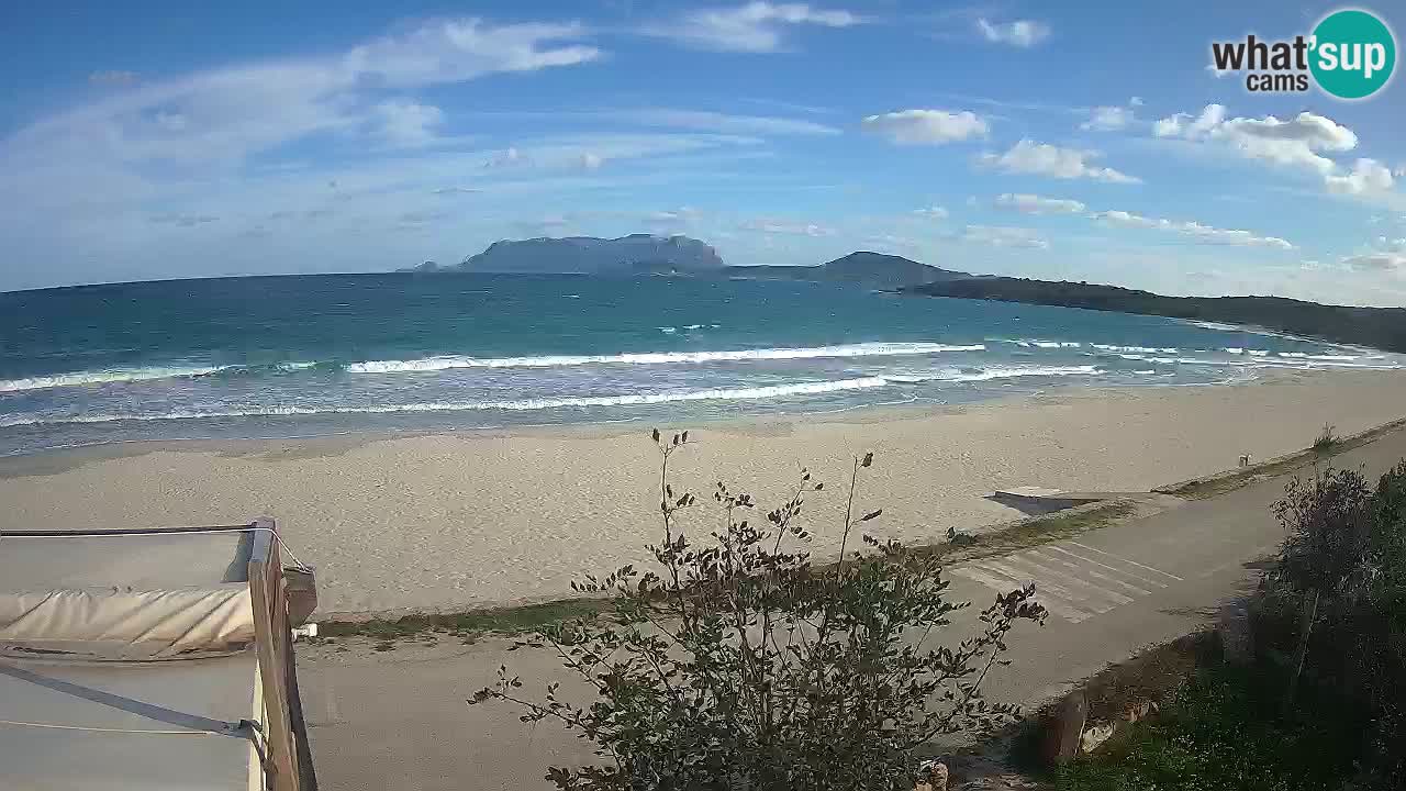 La webcam spiaggia Pittulongu vicino Olbia – Sardegna