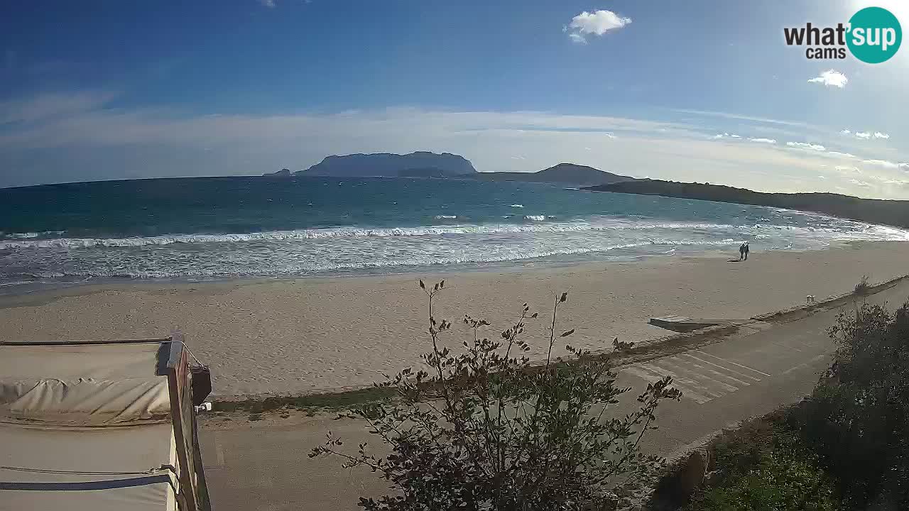 La webcam spiaggia Pittulongu vicino Olbia – Sardegna