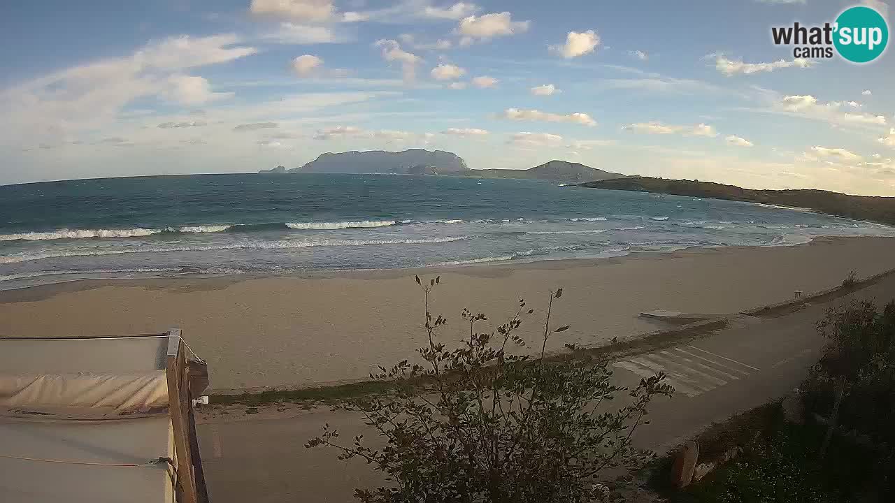 La webcam spiaggia Pittulongu vicino Olbia – Sardegna