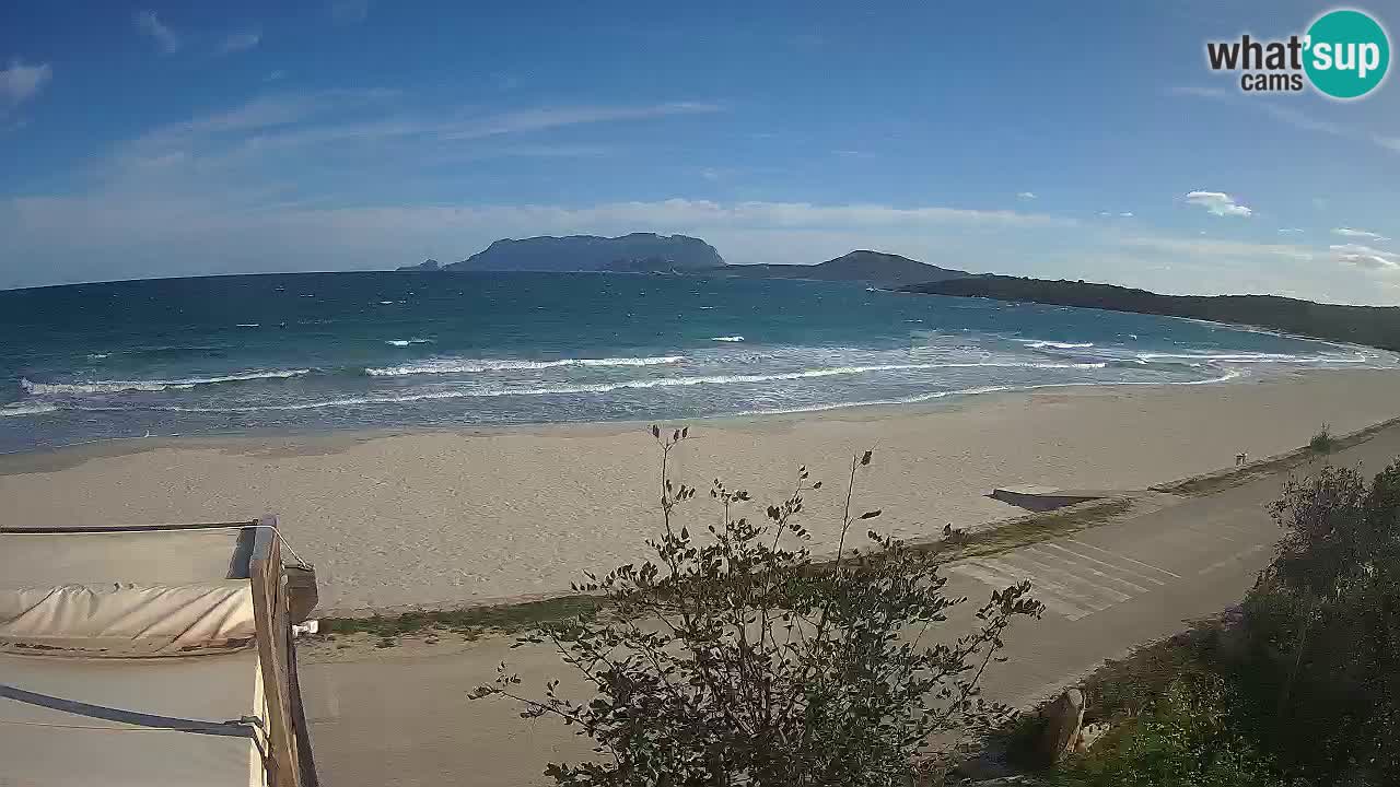 Plaža Pittulongu spletna kamera v živo Olbia – Sardinija – Italija