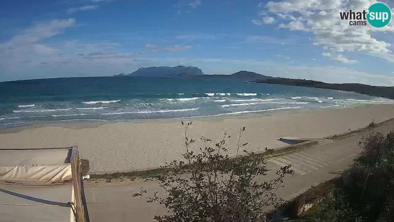 The beach of Pittulongu live webcam Olbia – Sardinia – Italy