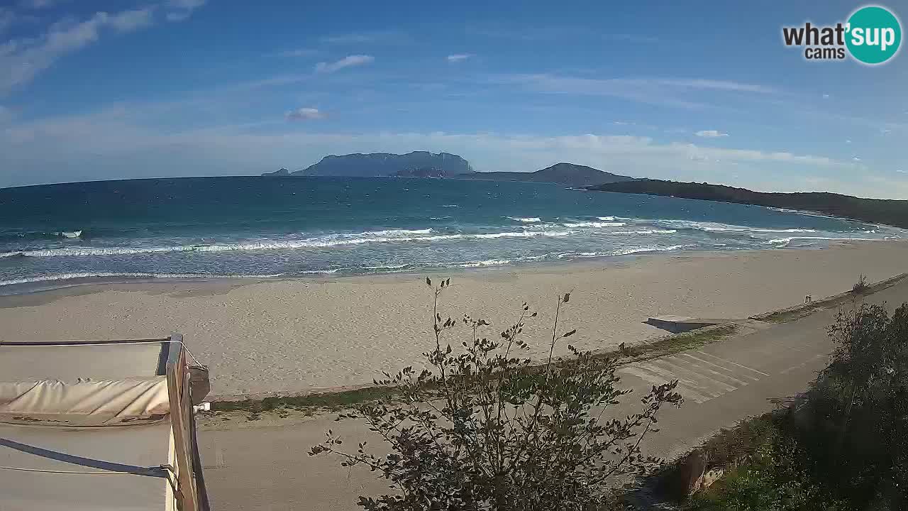 The beach of Pittulongu live webcam Olbia – Sardinia – Italy