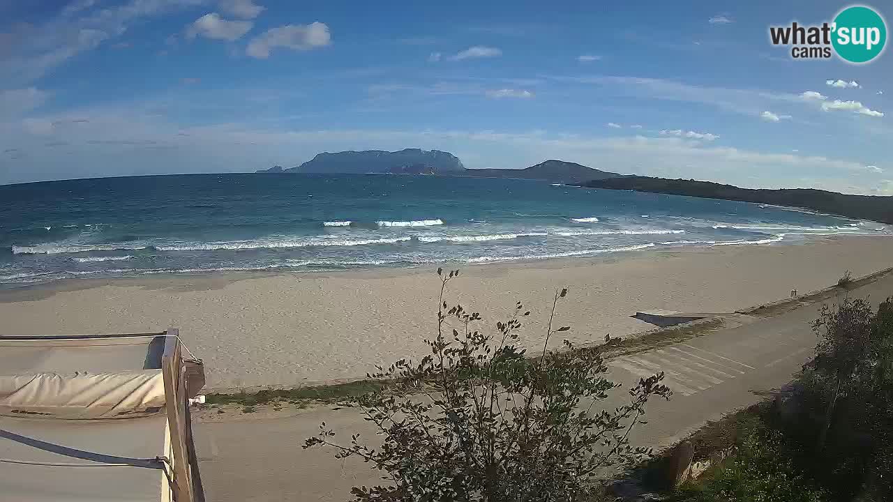 La plage de Pittulongu en direct webcam Olbia – Sardaigne – Italie