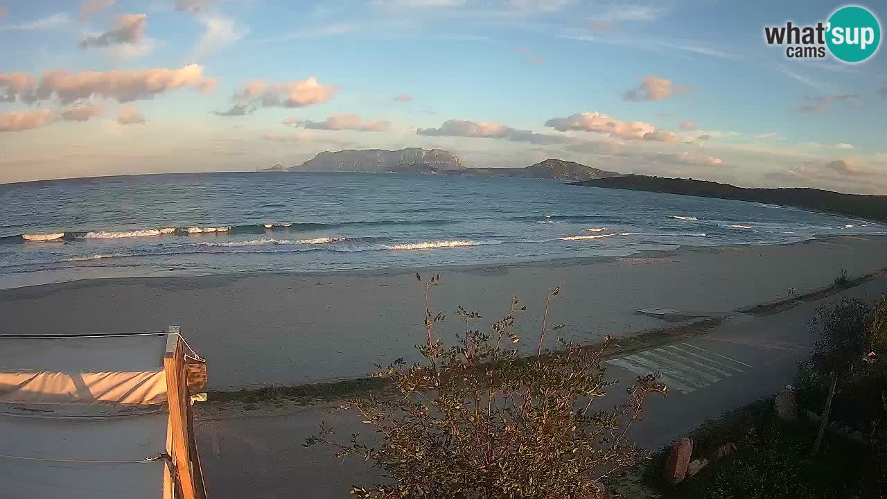 La playa de Pittulongu webcam en vivo Olbia – Cerdeña – Italia