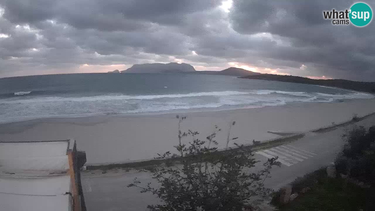 The beach of Pittulongu live webcam Olbia – Sardinia – Italy