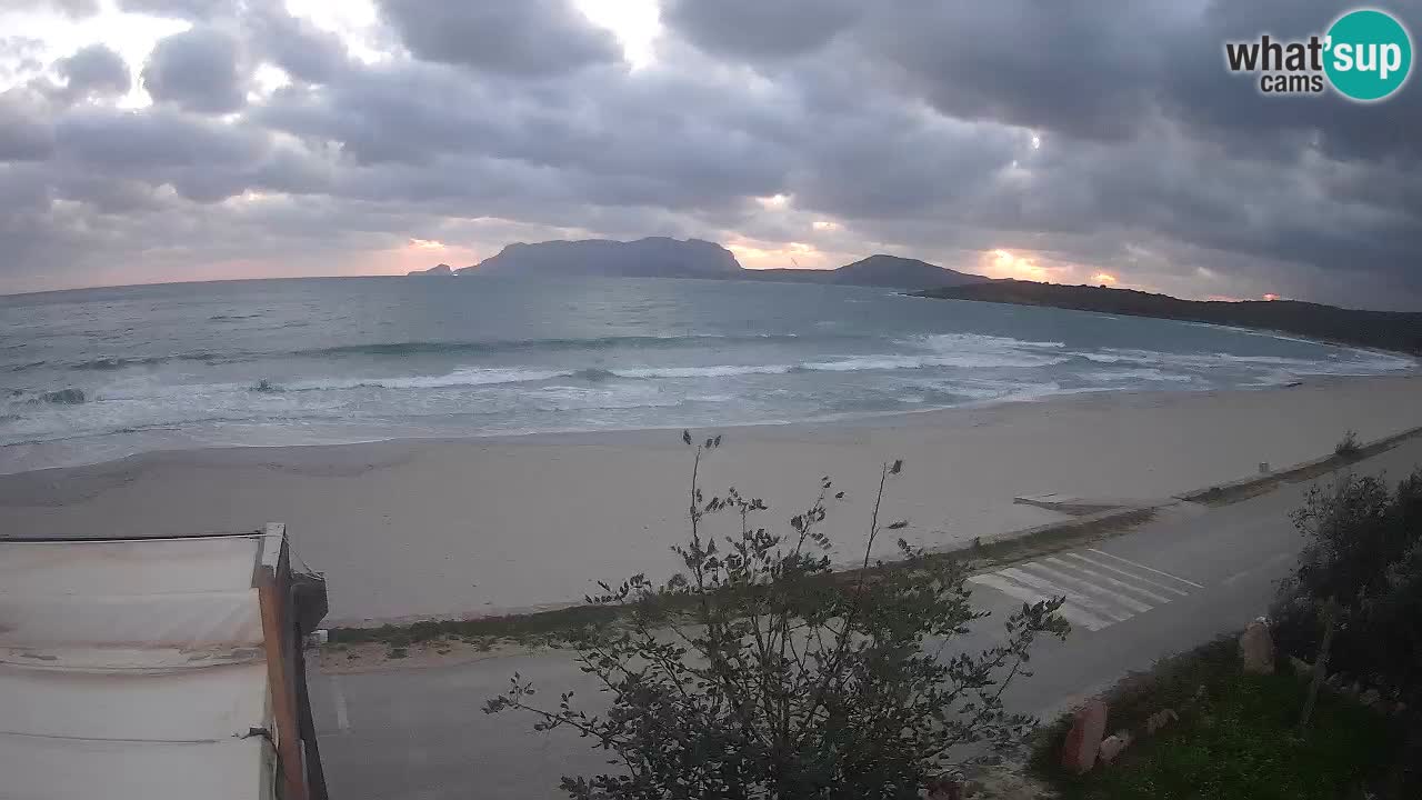 La plage de Pittulongu en direct webcam Olbia – Sardaigne – Italie