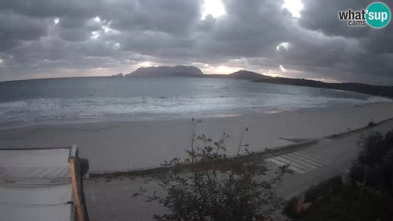 La playa de Pittulongu webcam en vivo Olbia – Cerdeña – Italia