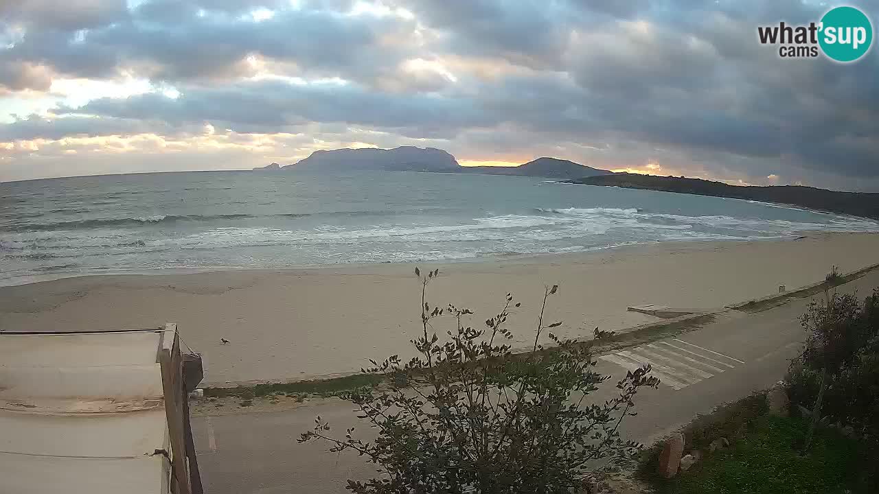 La plage de Pittulongu en direct webcam Olbia – Sardaigne – Italie