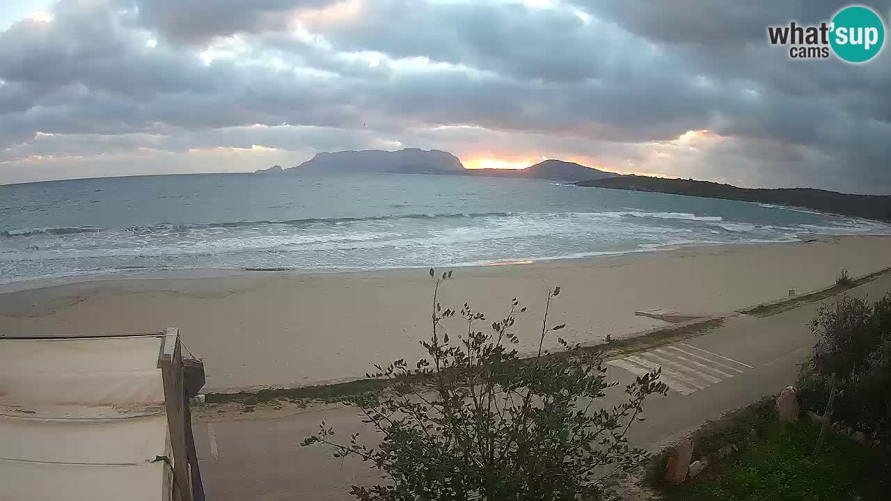 The beach of Pittulongu live webcam Olbia – Sardinia – Italy