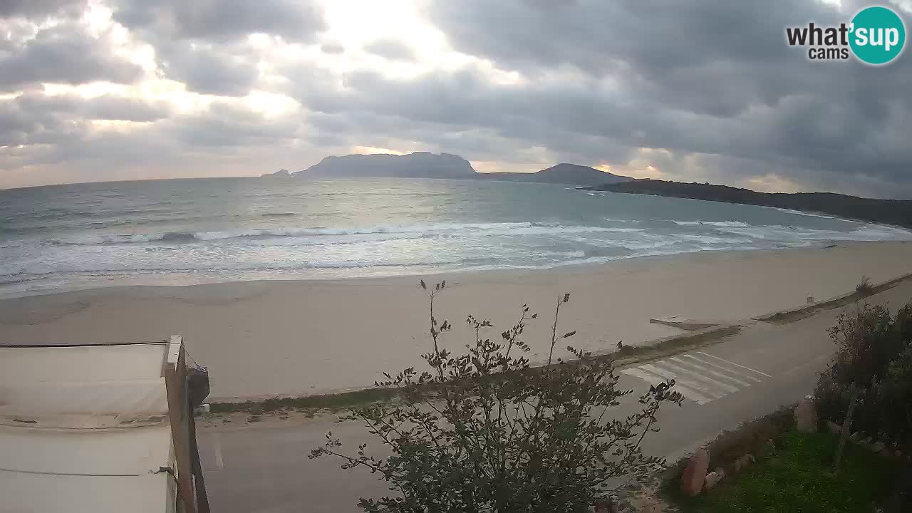 La plage de Pittulongu en direct webcam Olbia – Sardaigne – Italie