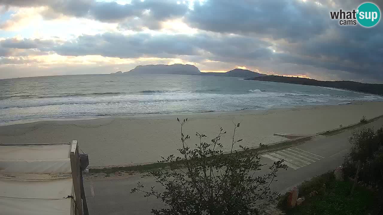 The beach of Pittulongu live webcam Olbia – Sardinia – Italy