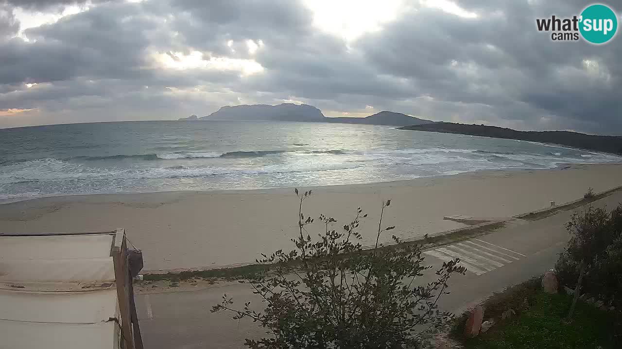 La playa de Pittulongu webcam en vivo Olbia – Cerdeña – Italia