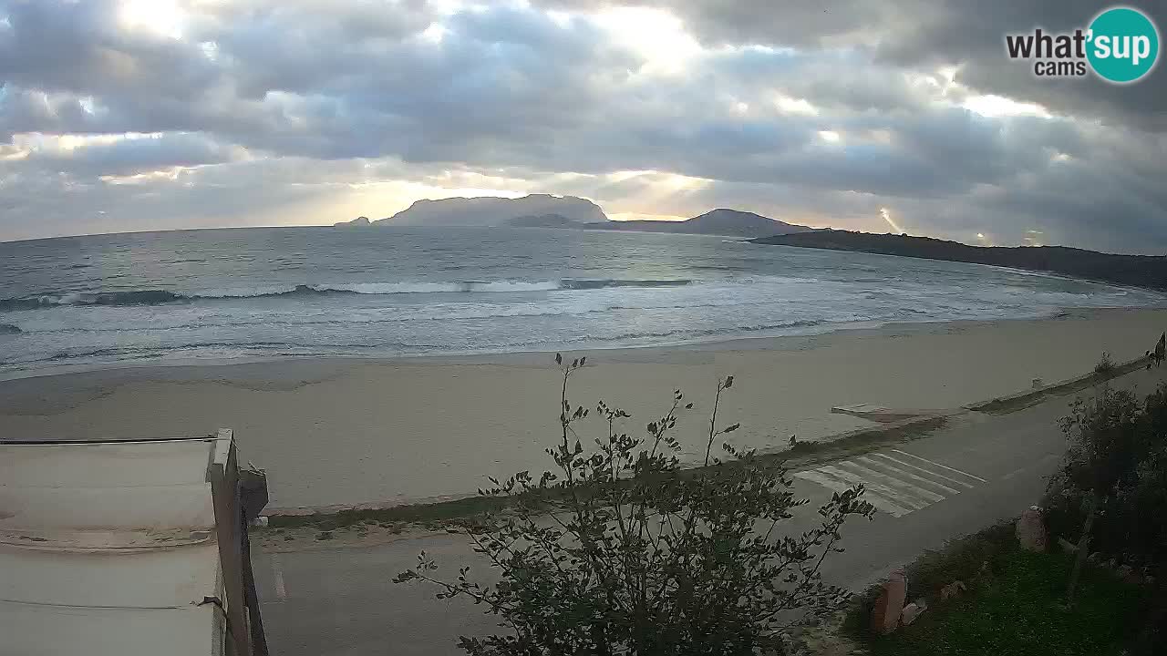 La plage de Pittulongu en direct webcam Olbia – Sardaigne – Italie