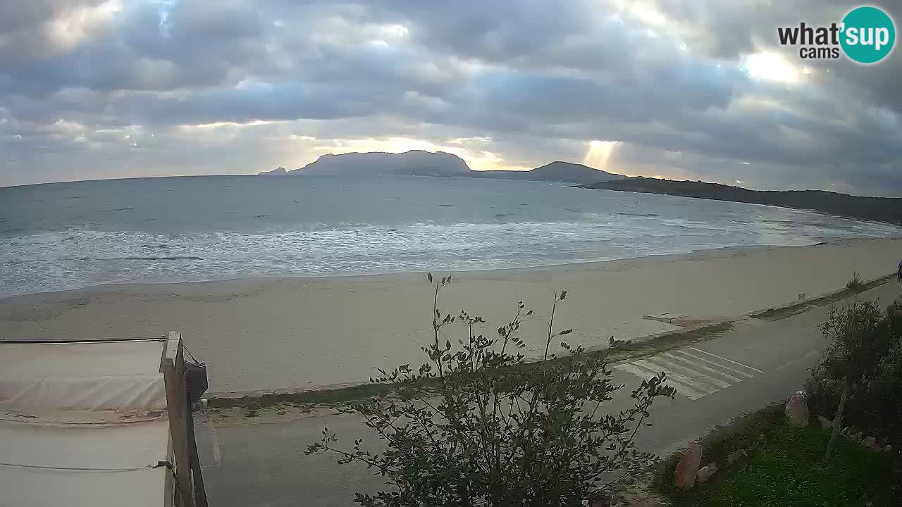 La plage de Pittulongu en direct webcam Olbia – Sardaigne – Italie