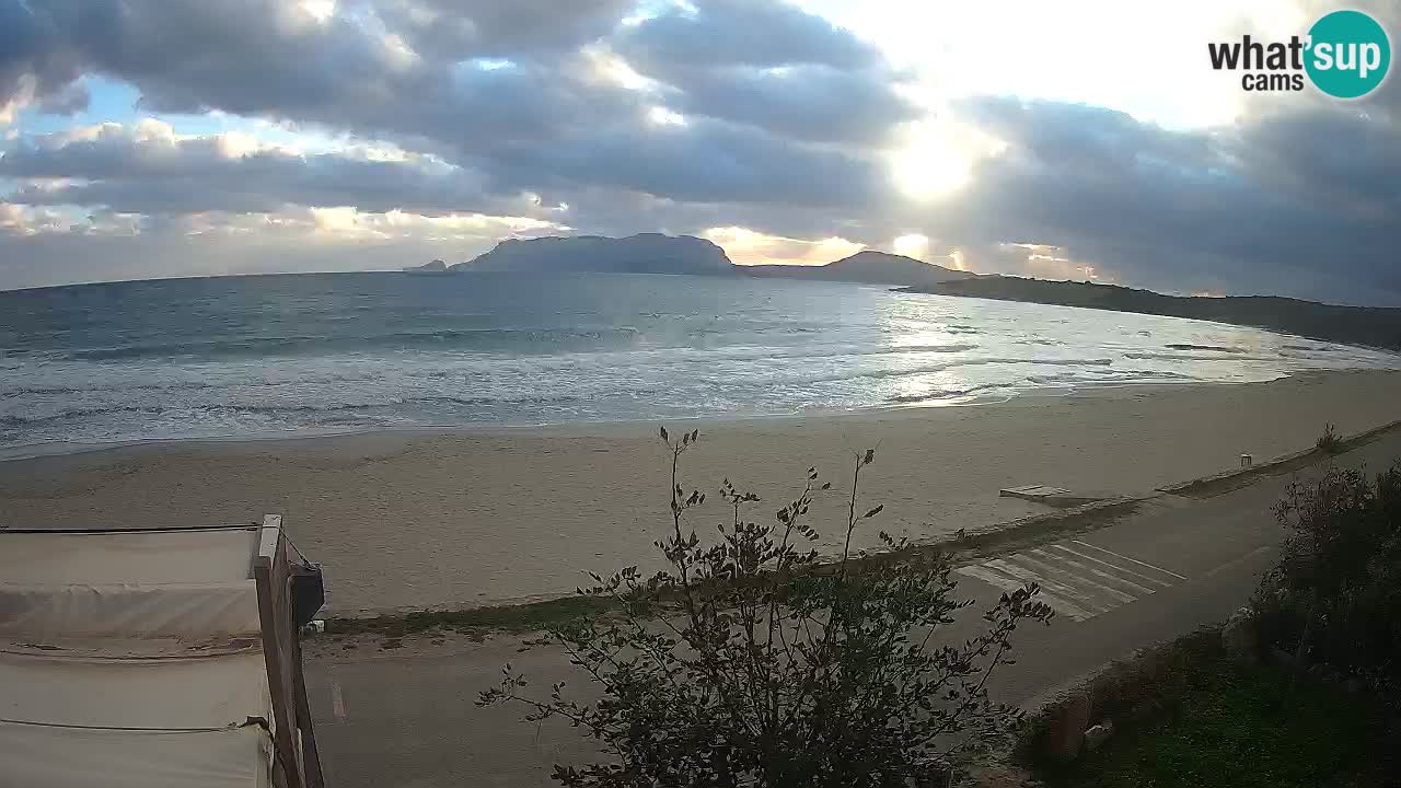 The beach of Pittulongu live webcam Olbia – Sardinia – Italy