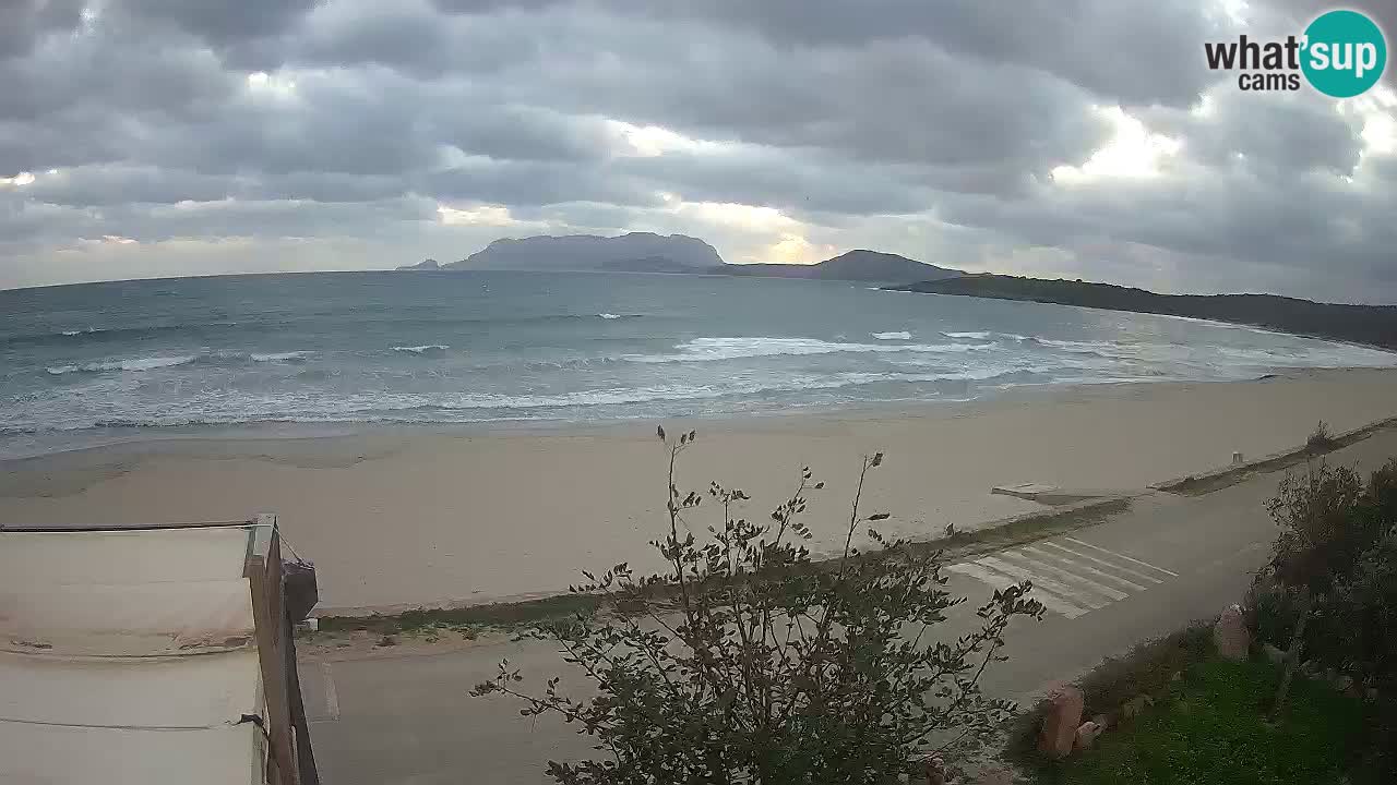 Der Strand von Pittulongu Live-Webcam Olbia – Sardinien – Italien