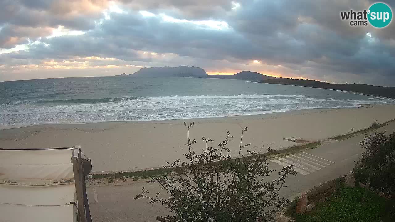 The beach of Pittulongu live webcam Olbia – Sardinia – Italy