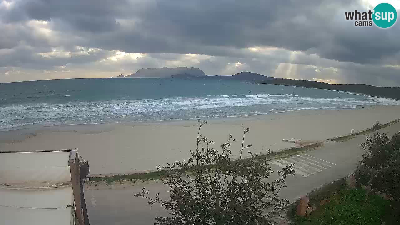 La playa de Pittulongu webcam en vivo Olbia – Cerdeña – Italia