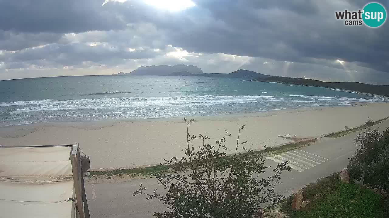 The beach of Pittulongu live webcam Olbia – Sardinia – Italy