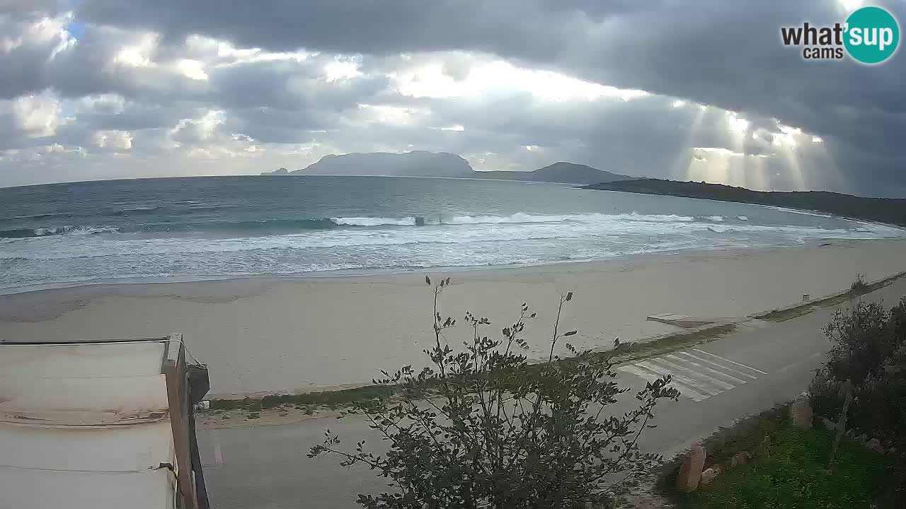 The beach of Pittulongu live webcam Olbia – Sardinia – Italy