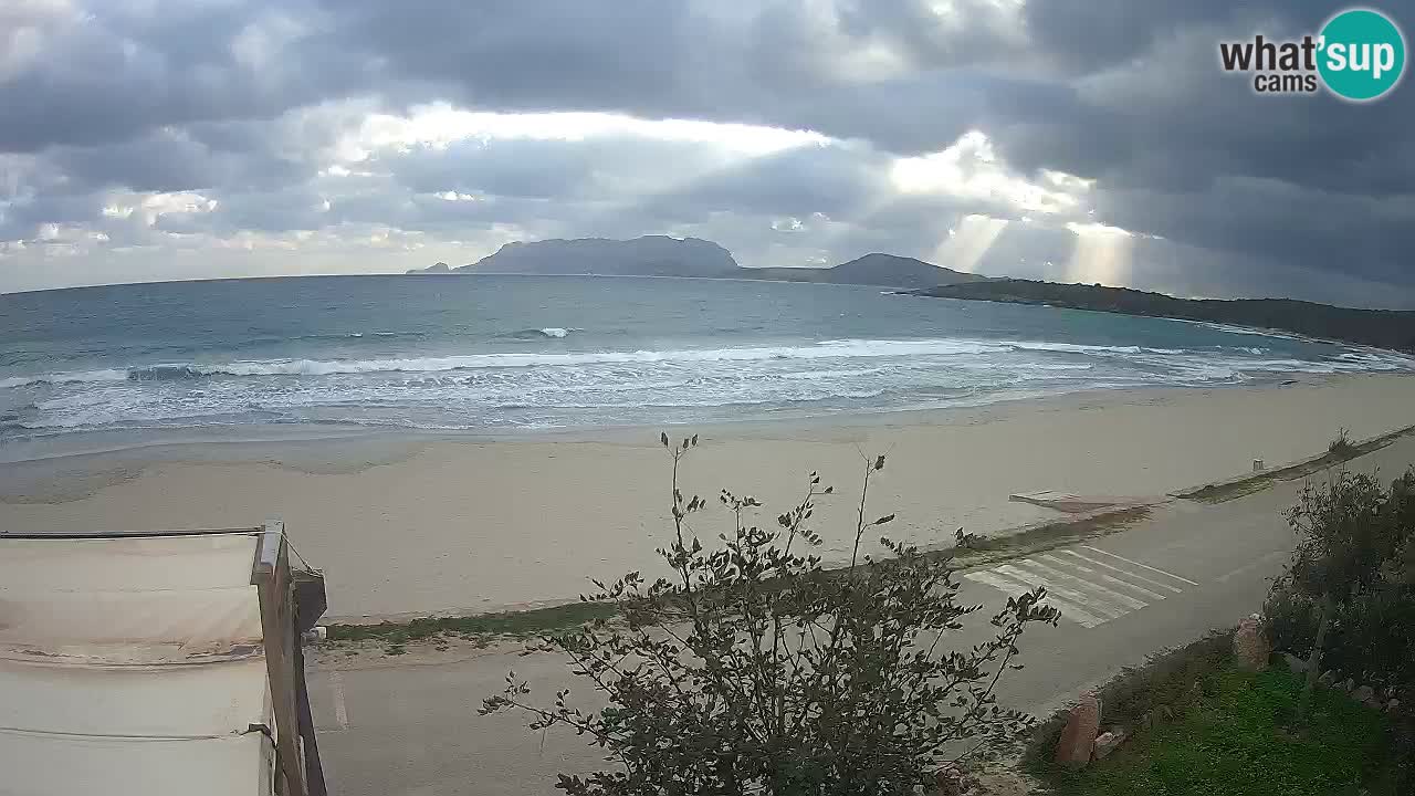 La plage de Pittulongu en direct webcam Olbia – Sardaigne – Italie