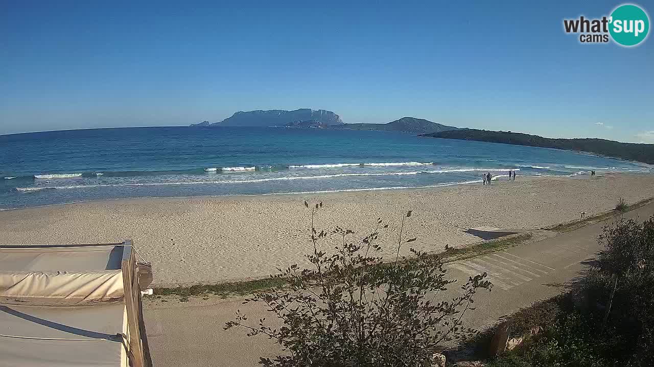 Der Strand von Pittulongu Live-Webcam Olbia – Sardinien – Italien