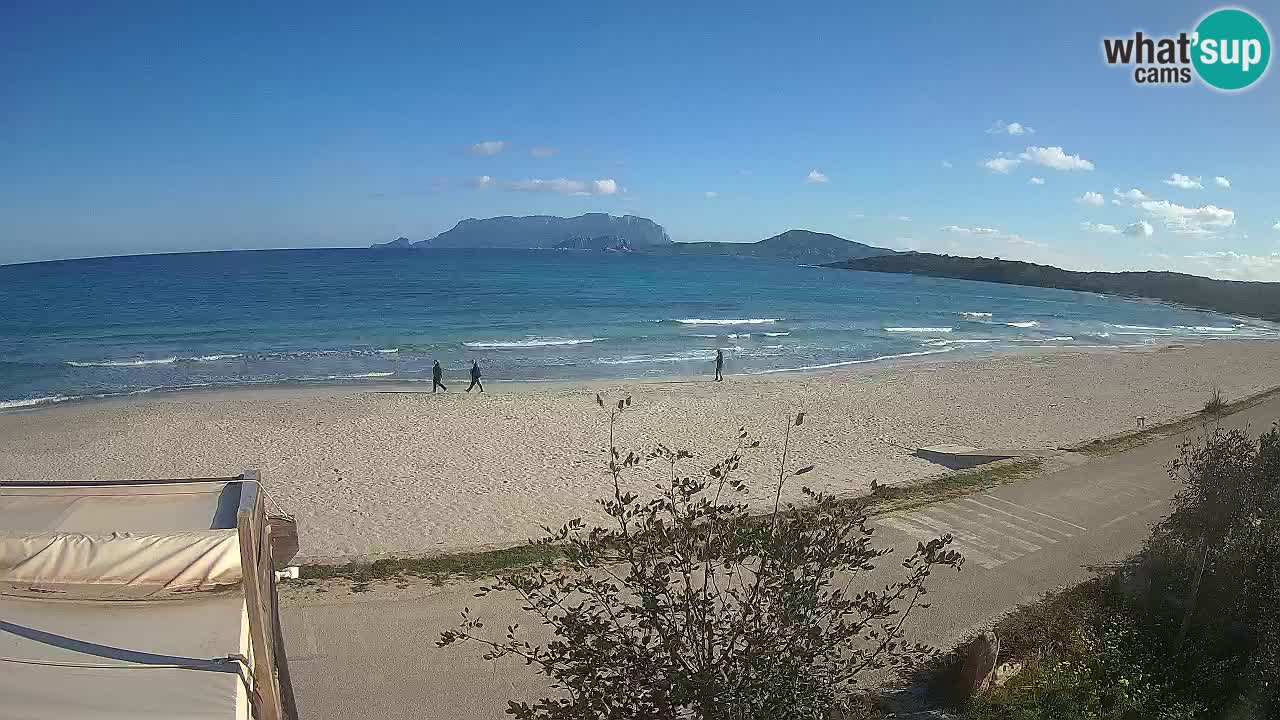 The beach of Pittulongu live webcam Olbia – Sardinia – Italy