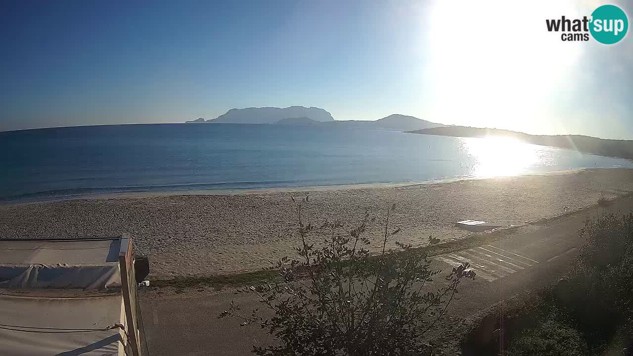 The beach of Pittulongu live webcam Olbia – Sardinia – Italy