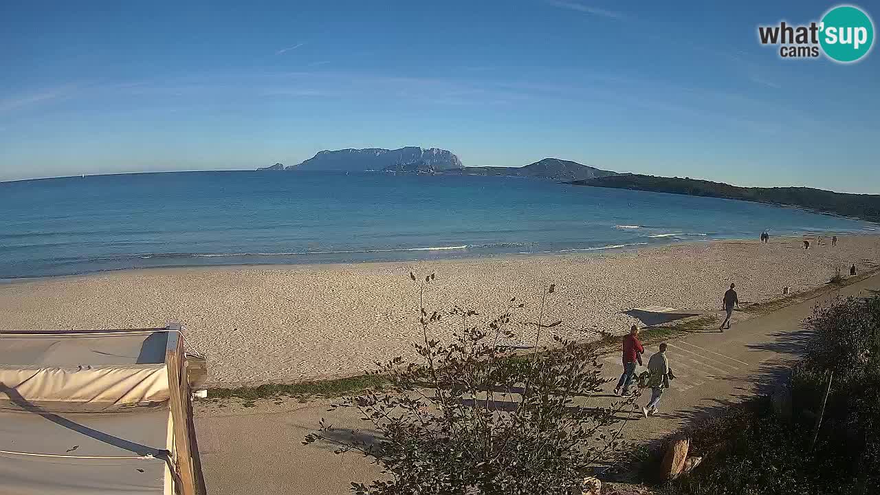 The beach of Pittulongu live webcam Olbia – Sardinia – Italy