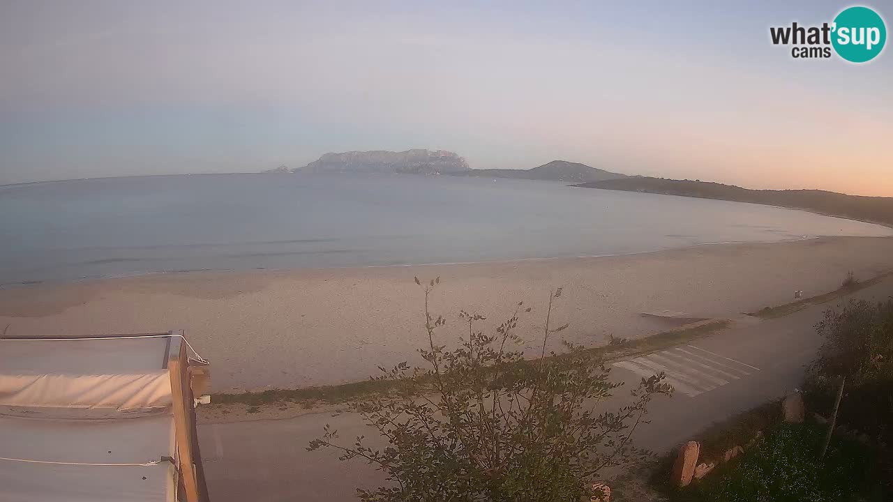 The beach of Pittulongu live webcam Olbia – Sardinia – Italy