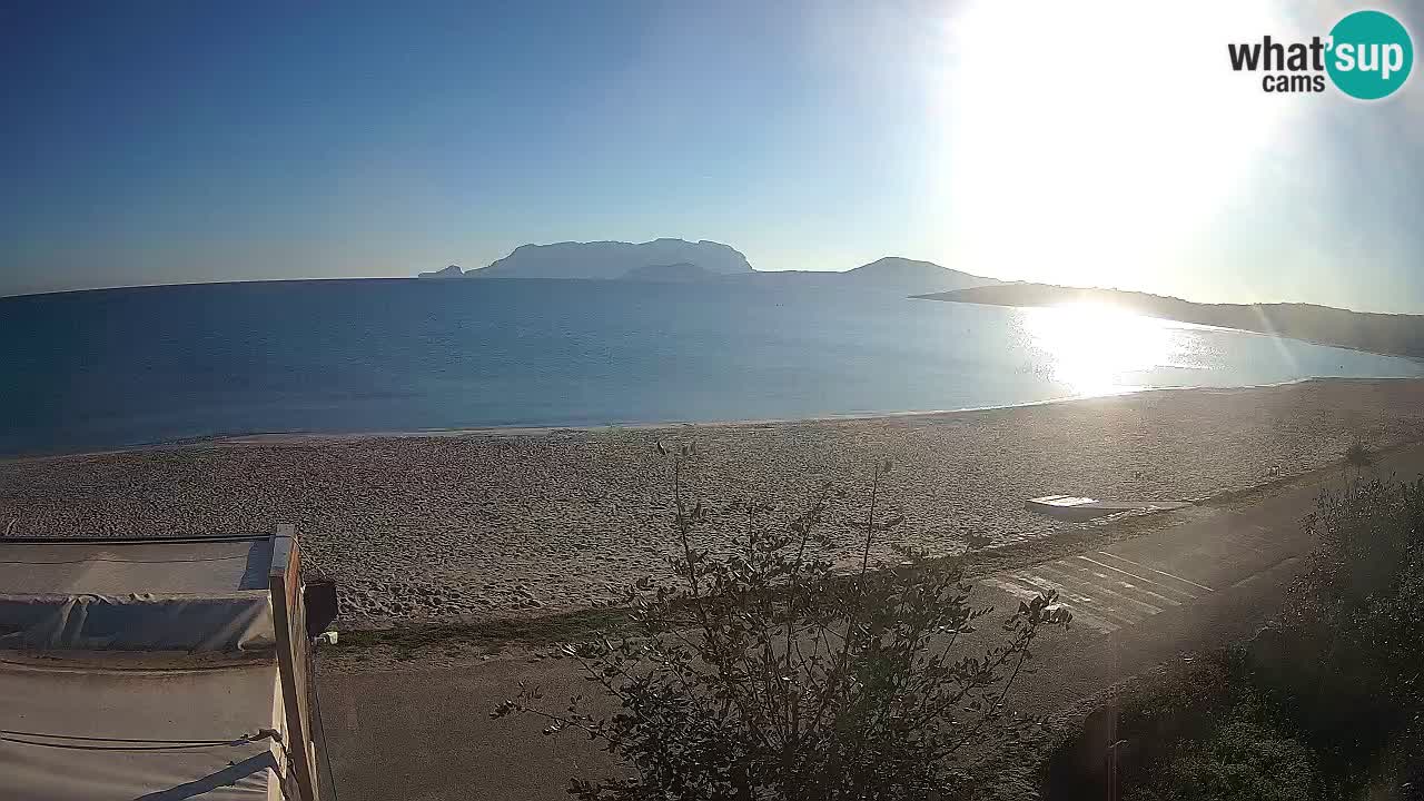 La webcam spiaggia Pittulongu vicino Olbia – Sardegna