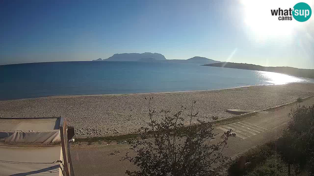 Der Strand von Pittulongu Live-Webcam Olbia – Sardinien – Italien