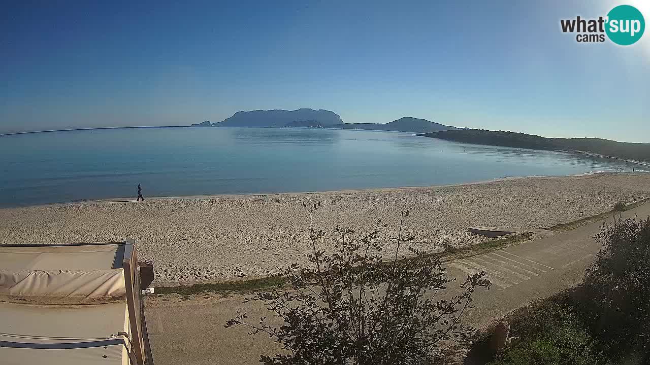 La playa de Pittulongu webcam en vivo Olbia – Cerdeña – Italia