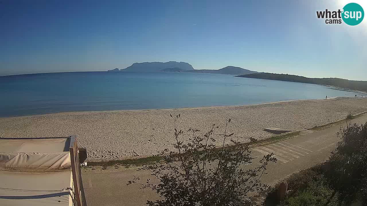 Der Strand von Pittulongu Live-Webcam Olbia – Sardinien – Italien