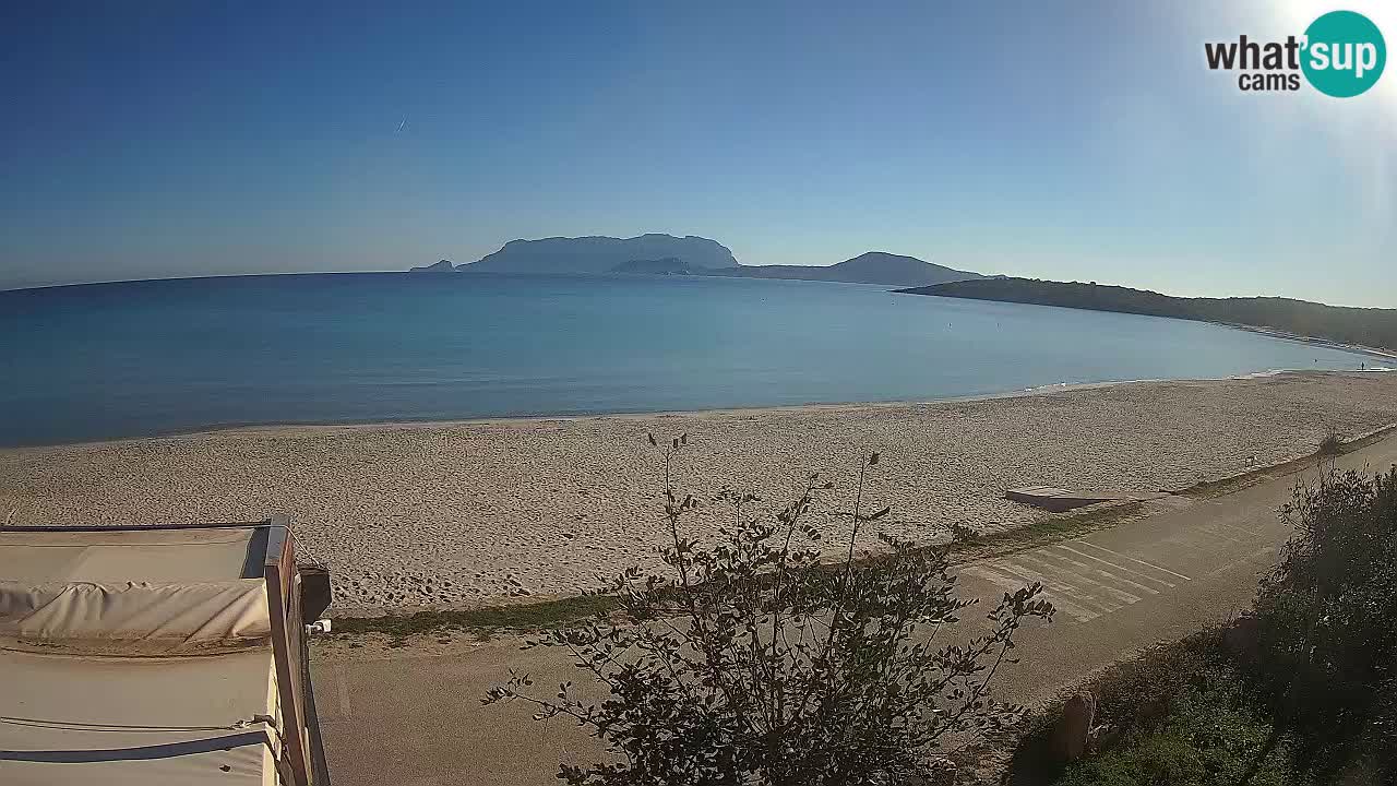 La playa de Pittulongu webcam en vivo Olbia – Cerdeña – Italia