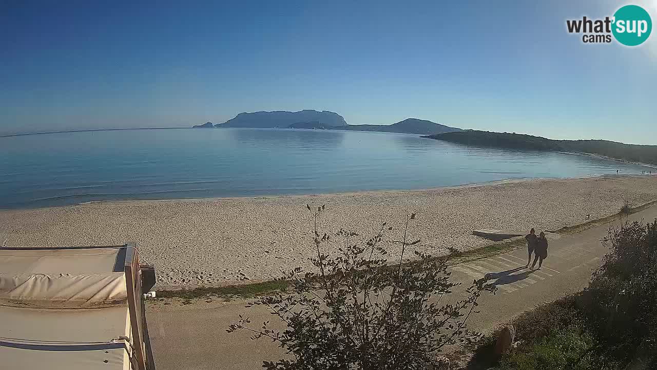 La playa de Pittulongu webcam en vivo Olbia – Cerdeña – Italia