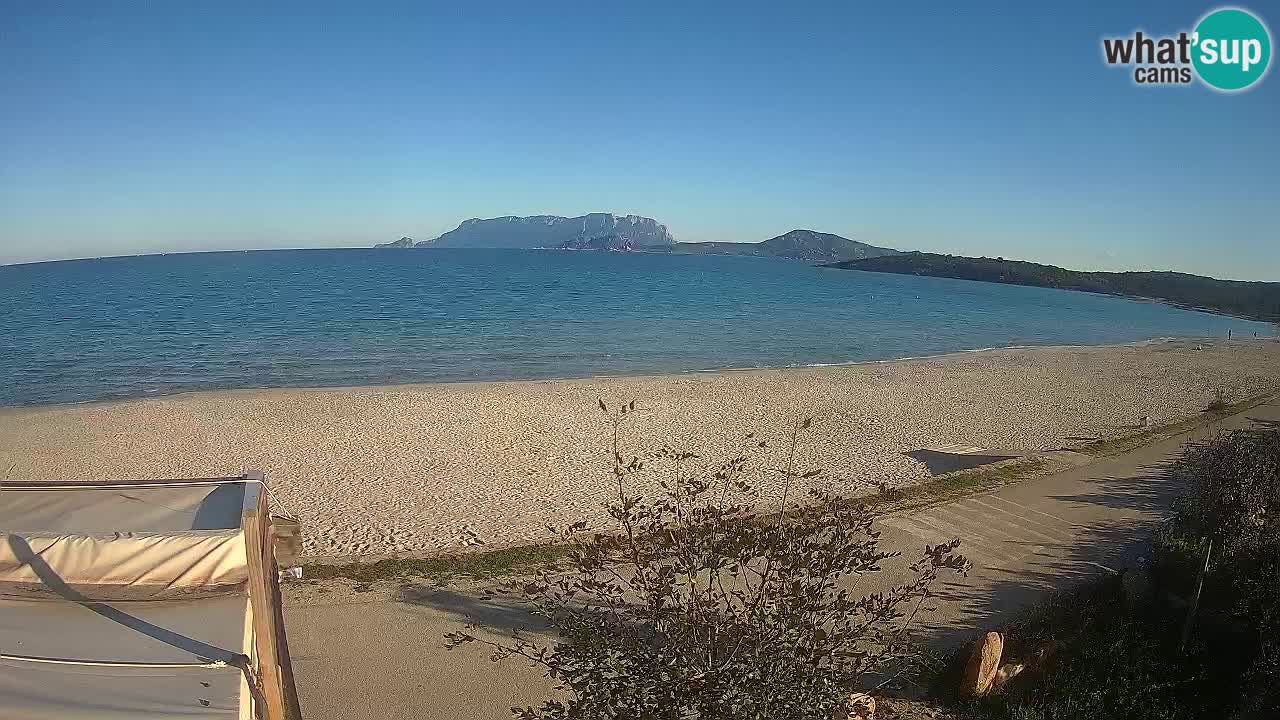 The beach of Pittulongu live webcam Olbia – Sardinia – Italy