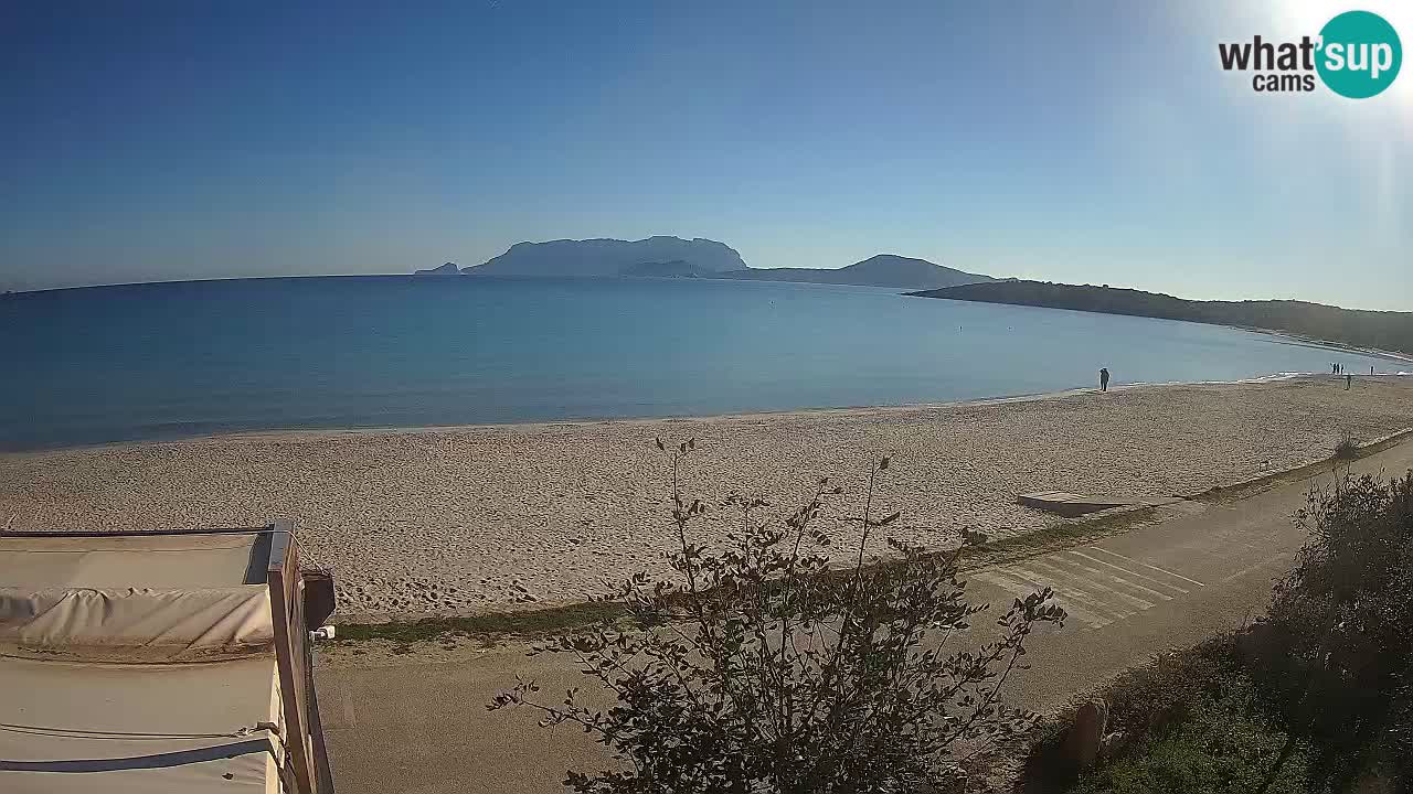 Der Strand von Pittulongu Live-Webcam Olbia – Sardinien – Italien