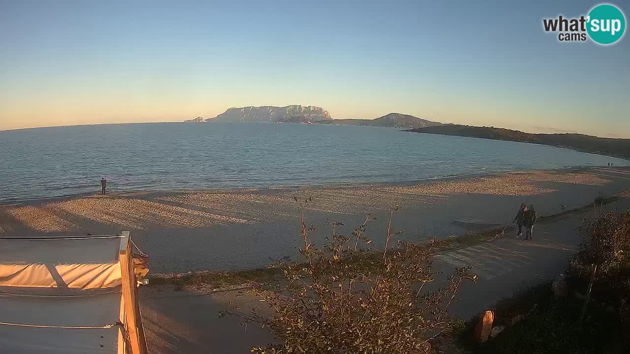 The beach of Pittulongu live webcam Olbia – Sardinia – Italy