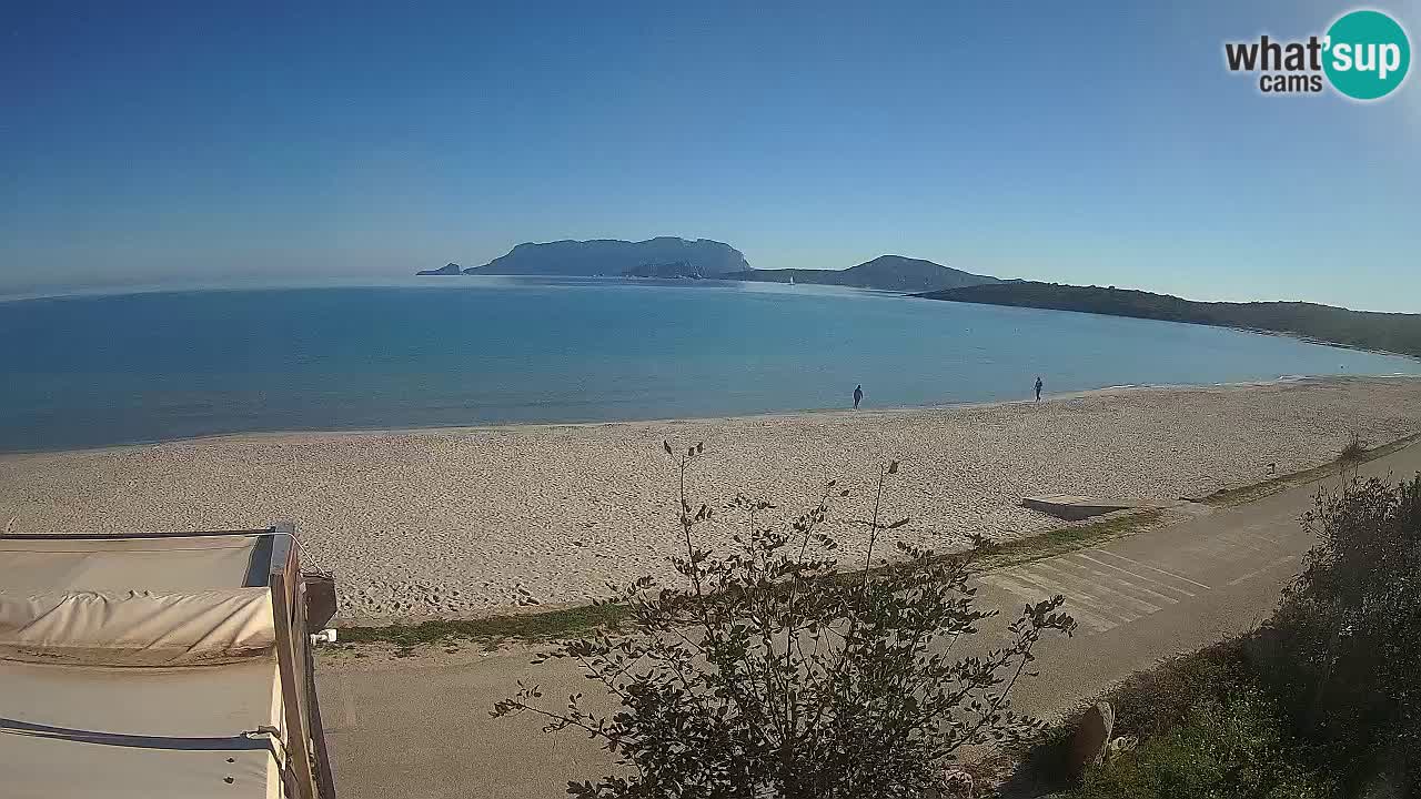 La webcam spiaggia Pittulongu vicino Olbia – Sardegna