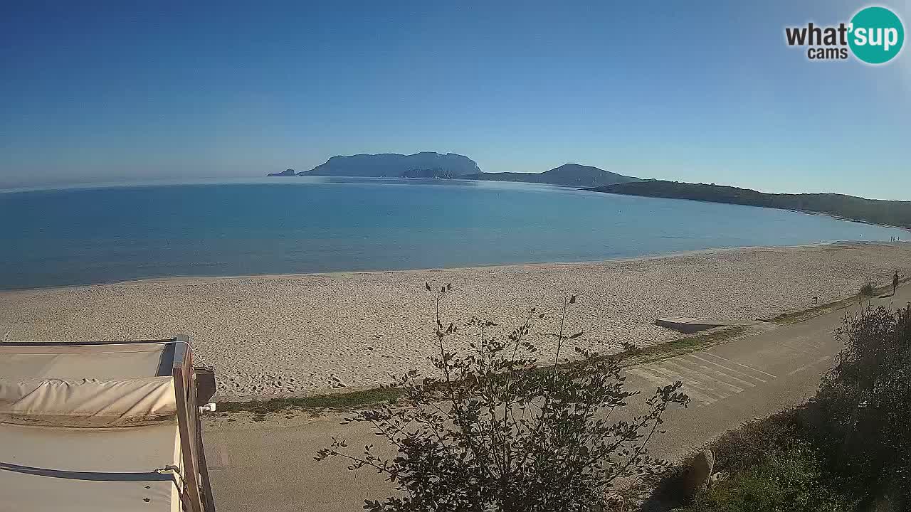 Plaža Pittulongu spletna kamera v živo Olbia – Sardinija – Italija