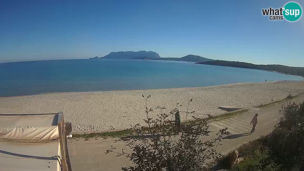 La plage de Pittulongu en direct webcam Olbia – Sardaigne – Italie