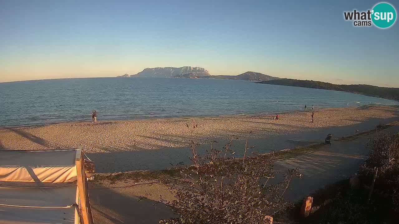 Plaža Pittulongu spletna kamera v živo Olbia – Sardinija – Italija