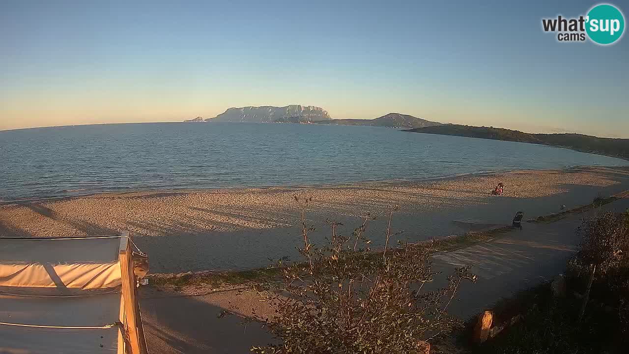 La playa de Pittulongu webcam en vivo Olbia – Cerdeña – Italia