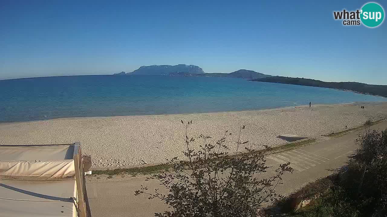 Der Strand von Pittulongu Live-Webcam Olbia – Sardinien – Italien